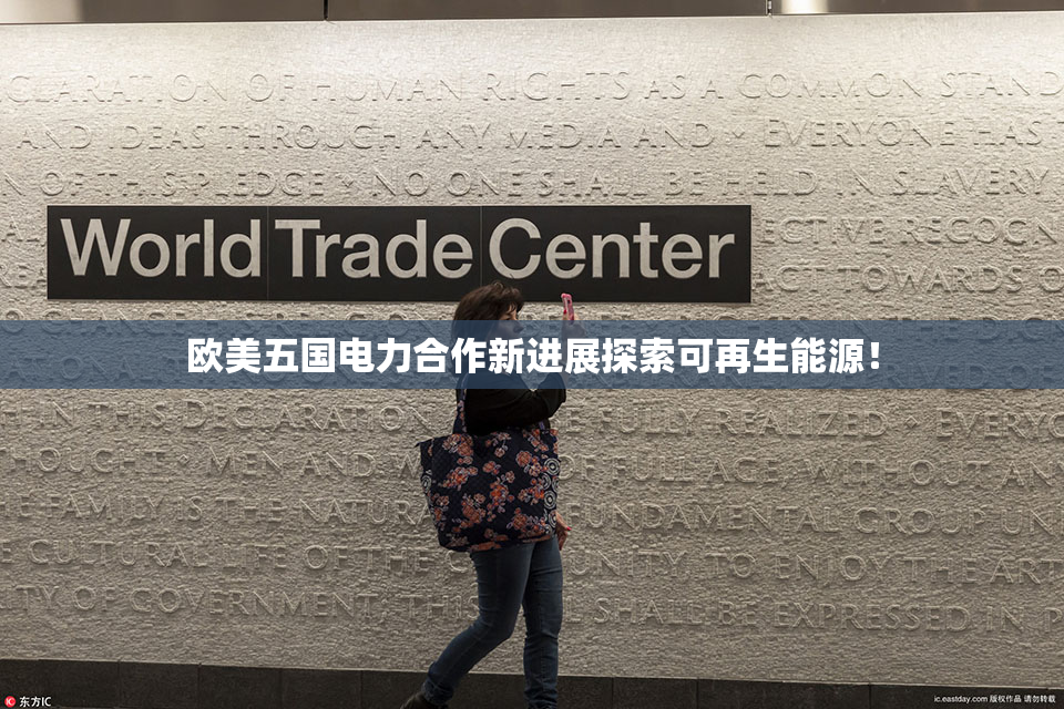 欧美五国电力合作新进展探索可再生能源！