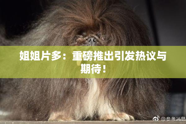 姐姐片多：重磅推出引发热议与期待！