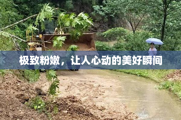 极致粉嫩，让人心动的美好瞬间