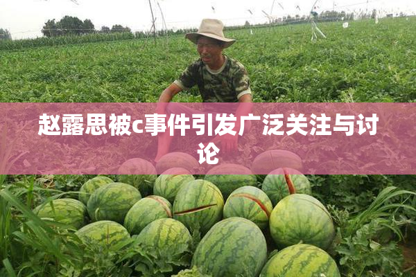 赵露思被c事件引发广泛关注与讨论