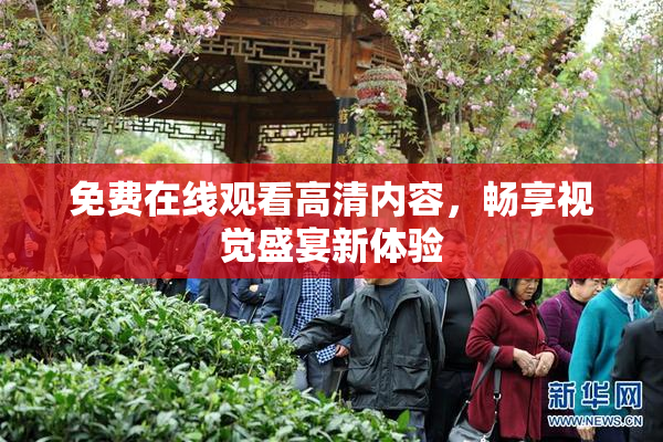 免费在线观看高清内容，畅享视觉盛宴新体验