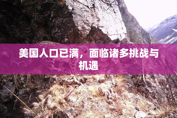 美国人口已满，面临诸多挑战与机遇
