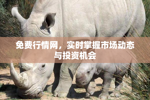 免费行情网，实时掌握市场动态与投资机会