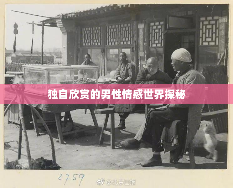 独自欣赏的男性情感世界探秘
