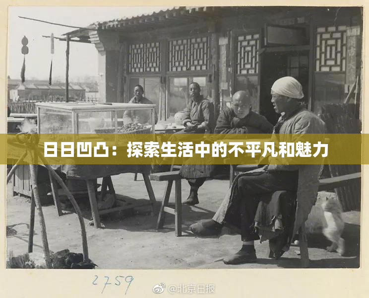 日日凹凸：探索生活中的不平凡和魅力