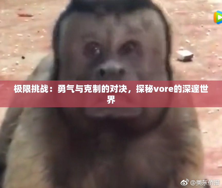极限挑战：勇气与克制的对决，探秘vore的深邃世界
