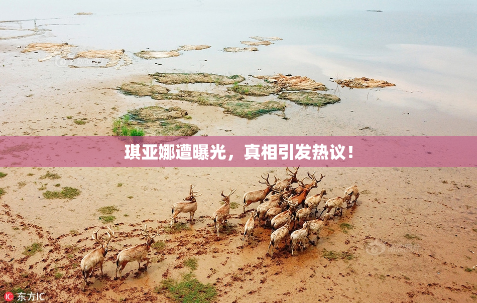 琪亚娜遭曝光，真相引发热议！
