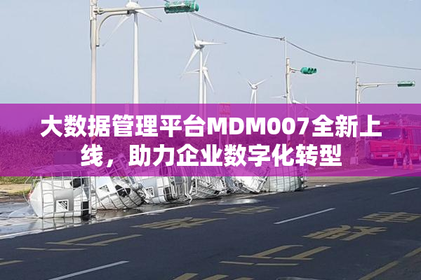 大数据管理平台MDM007全新上线，助力企业数字化转型