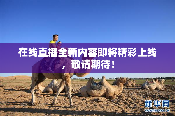 在线直播全新内容即将精彩上线，敬请期待！