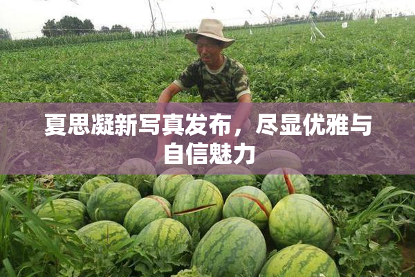 夏思凝新写真发布，尽显优雅与自信魅力