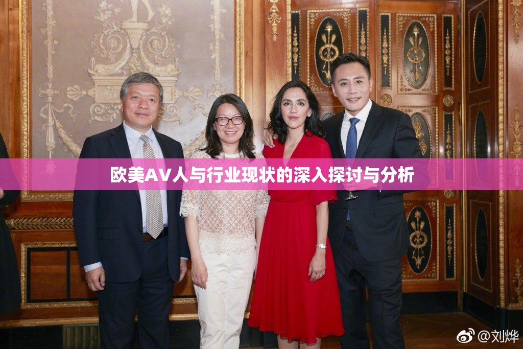欧美AV人与行业现状的深入探讨与分析
