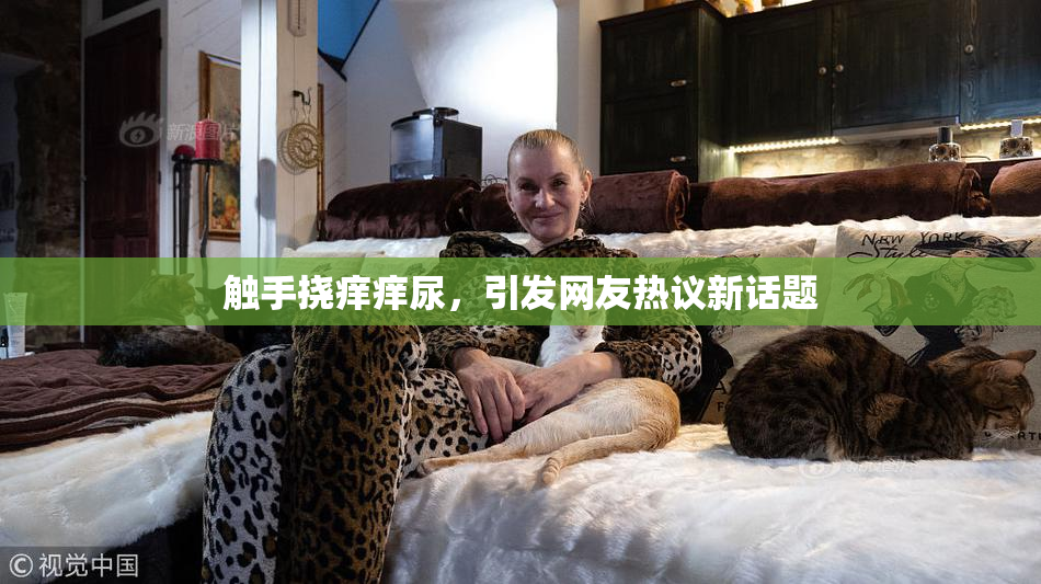 触手挠痒痒尿，引发网友热议新话题
