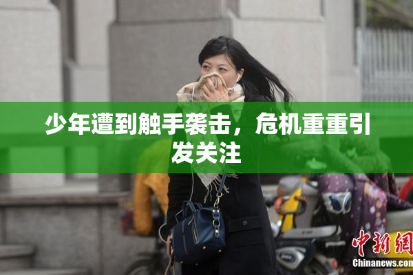 少年遭到触手袭击，危机重重引发关注