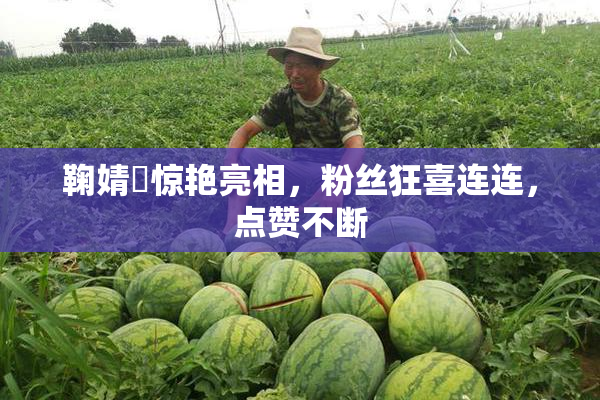 鞠婧祎惊艳亮相，粉丝狂喜连连，点赞不断