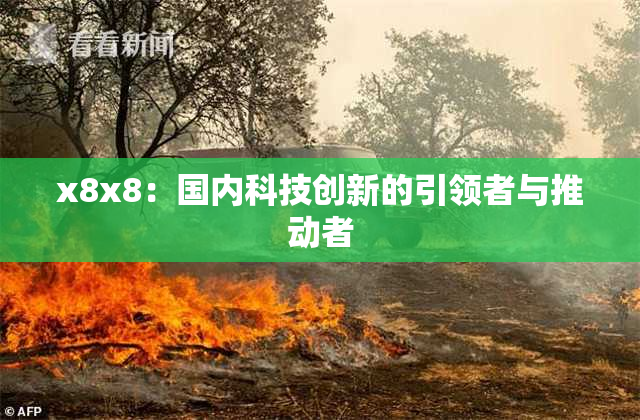x8x8：国内科技创新的引领者与推动者
