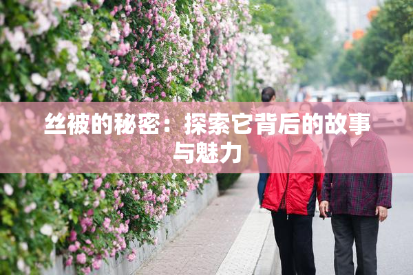 丝被的秘密：探索它背后的故事与魅力