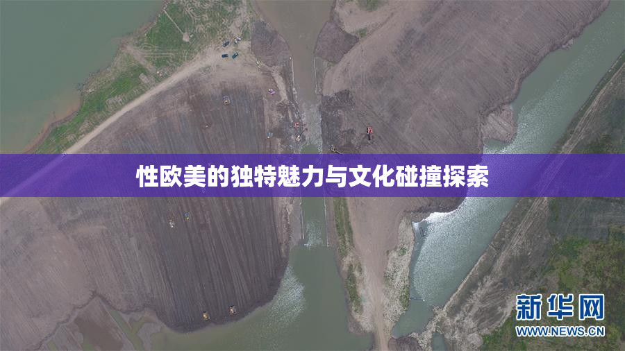 性欧美的独特魅力与文化碰撞探索
