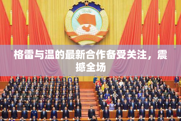 格雷与温的最新合作备受关注，震撼全场