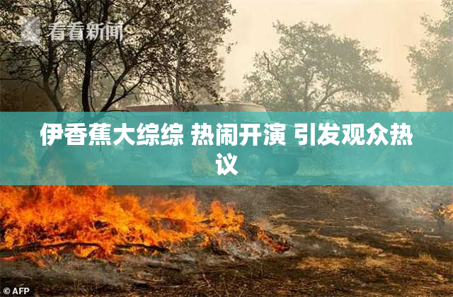 伊香蕉大综综 热闹开演 引发观众热议