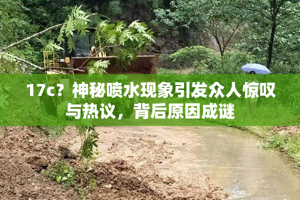 17c？神秘喷水现象引发众人惊叹与热议，背后原因成谜