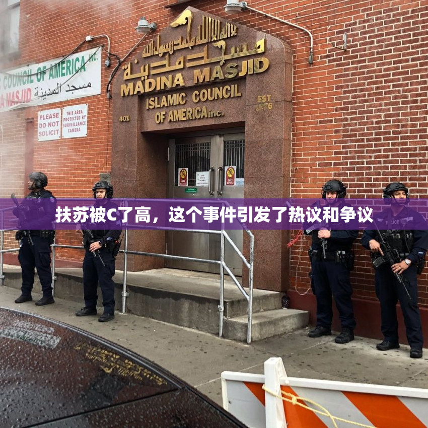 扶苏被C了高，这个事件引发了热议和争议