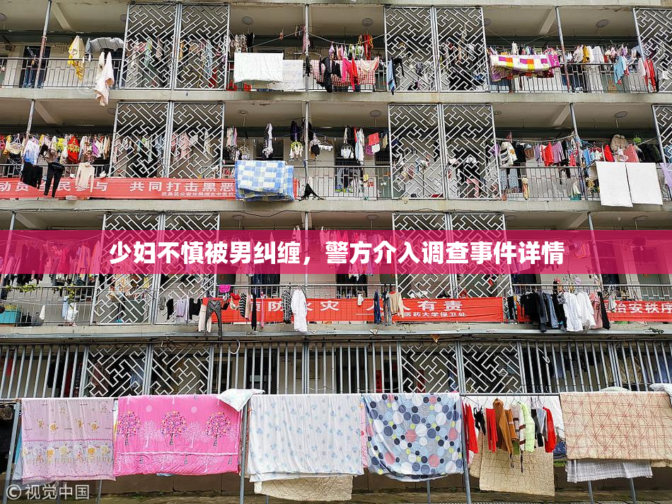 少妇不慎被男纠缠，警方介入调查事件详情
