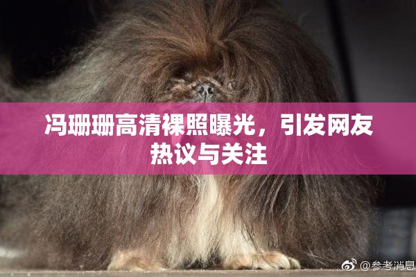 冯珊珊高清裸照曝光，引发网友热议与关注