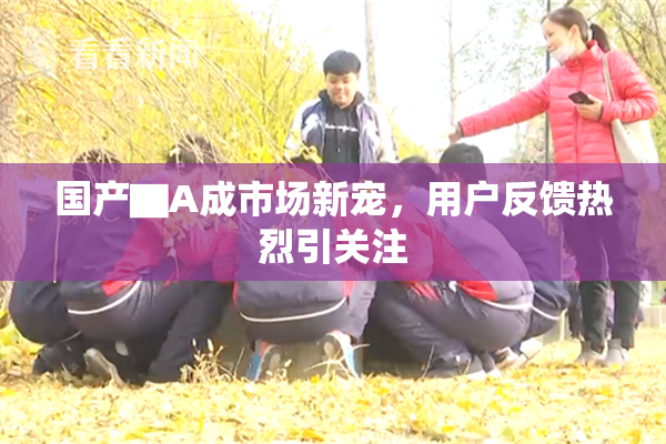 国产▇A成市场新宠，用户反馈热烈引关注
