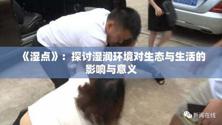 《湿点》：探讨湿润环境对生态与生活的影响与意义