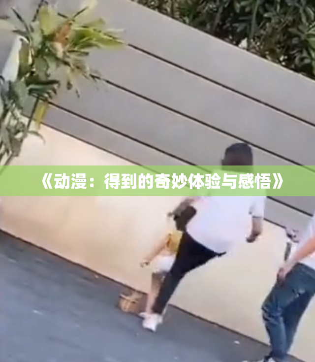 《动漫：得到的奇妙体验与感悟》