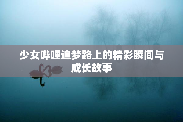 少女哔哩追梦路上的精彩瞬间与成长故事