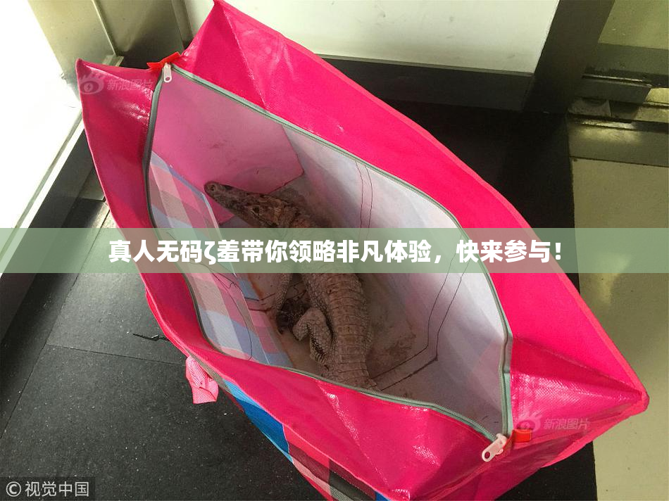 真人无码ζ羞带你领略非凡体验，快来参与！