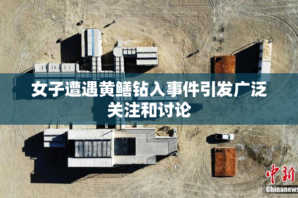 女子遭遇黄鳝钻入事件引发广泛关注和讨论