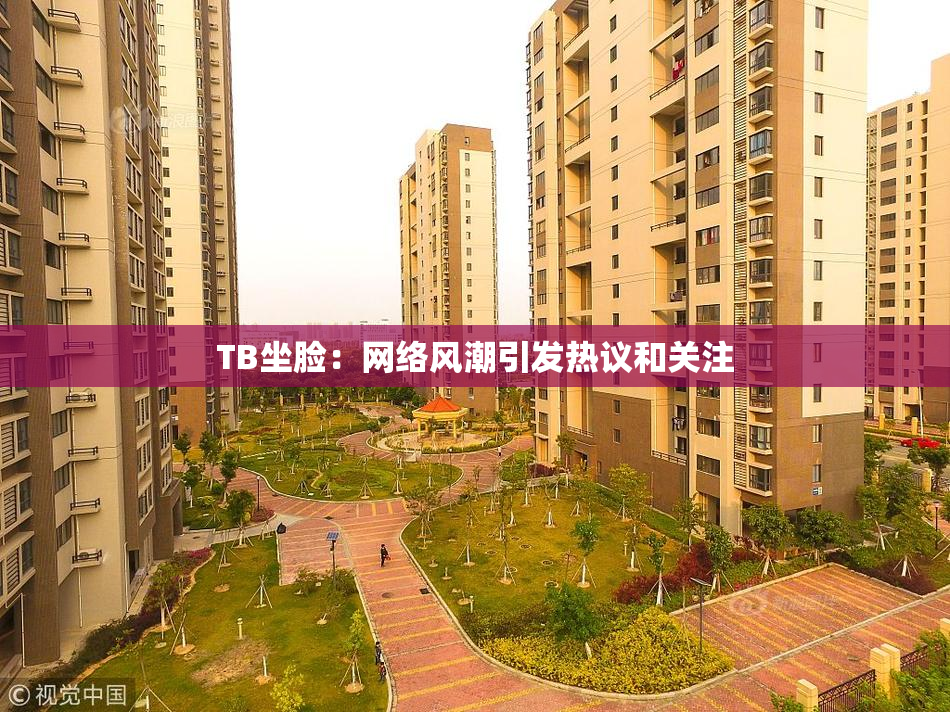 TB坐脸：网络风潮引发热议和关注