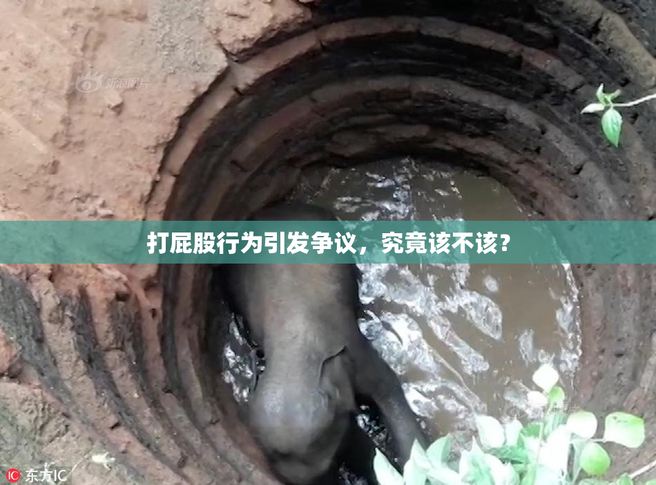 打屁股行为引发争议，究竟该不该？