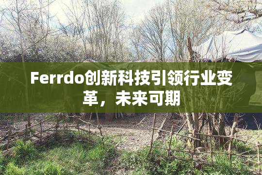 Ferrdo创新科技引领行业变革，未来可期