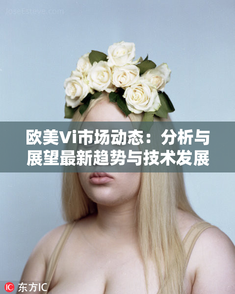 欧美Vi市场动态：分析与展望最新趋势与技术发展