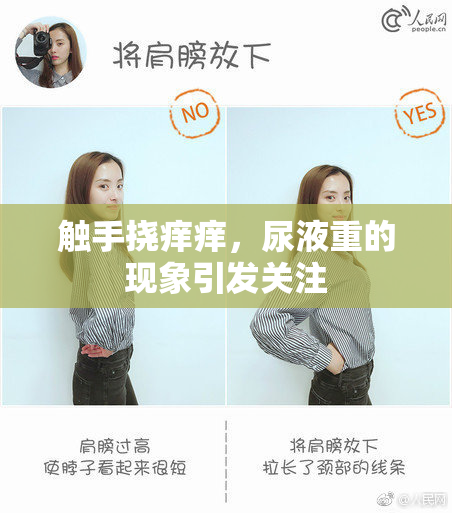 触手挠痒痒，尿液重的现象引发关注
