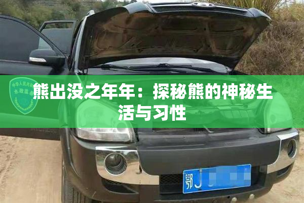 熊出没之年年：探秘熊的神秘生活与习性
