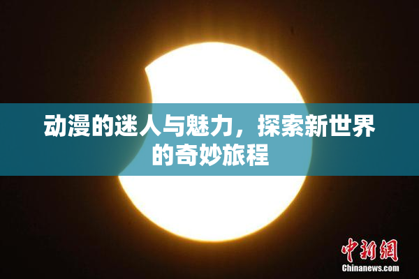 动漫的迷人与魅力，探索新世界的奇妙旅程