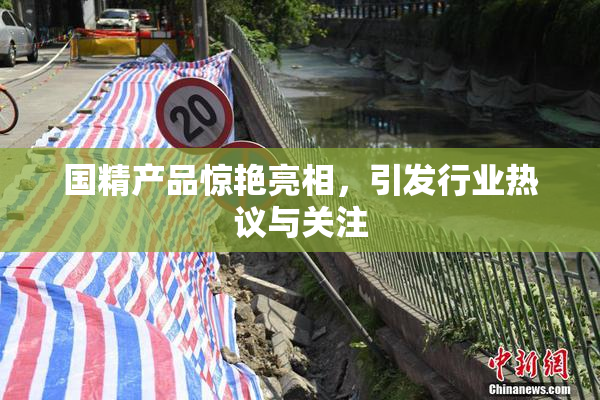 国精产品惊艳亮相，引发行业热议与关注