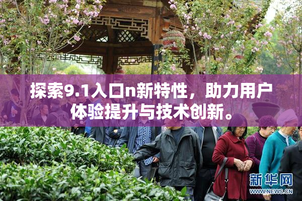 探索9.1入口n新特性，助力用户体验提升与技术创新。