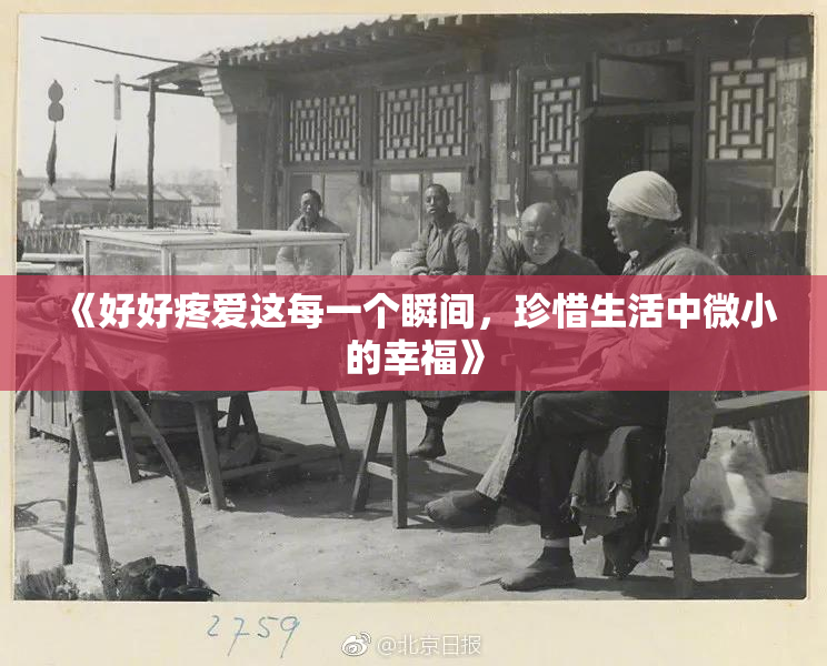 《好好疼爱这每一个瞬间，珍惜生活中微小的幸福》