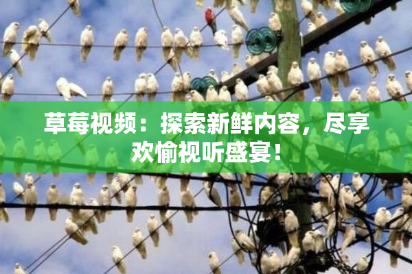 草莓视频：探索新鲜内容，尽享欢愉视听盛宴！