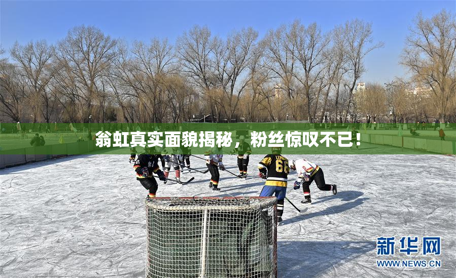 翁虹真实面貌揭秘，粉丝惊叹不已！