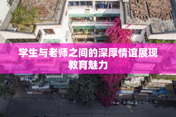 学生与老师之间的深厚情谊展现教育魅力