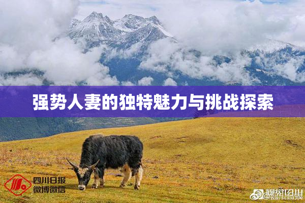 强势人妻的独特魅力与挑战探索