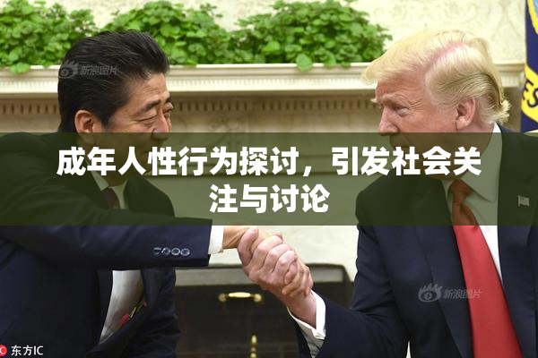 成年人性行为探讨，引发社会关注与讨论