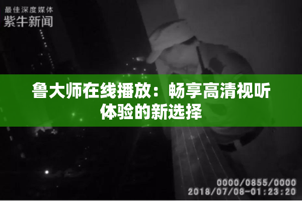 鲁大师在线播放：畅享高清视听体验的新选择