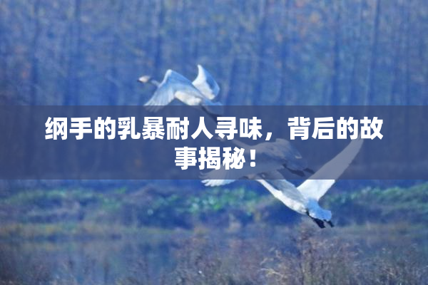 纲手的乳暴耐人寻味，背后的故事揭秘！